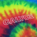 preview Calyc3_Calyce_Tiedye_zoom.jpg